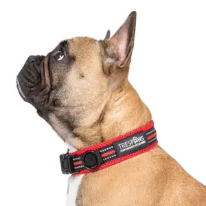 Trespass Hundhalsband Scooby Kampanj