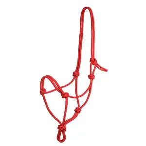 Sista chansen Pool‘s Knotty hästgrimskaft