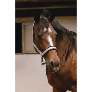 Premium Equithème Hästgrimma i nylon Jacquard