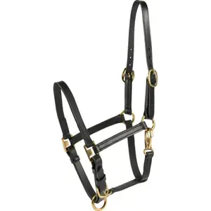 Köp online HorseGuard Hästen grimma