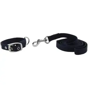 Rabatt Riding World Hundhalsband och koppel Oscar