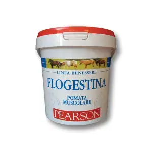 Tattini Kräm för hästar Flogestina Snabb frakt