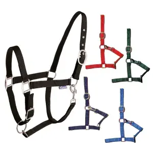 Tattini Nylon grimma med dubbel justering Extra rabatt