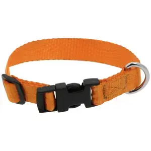 Extra rabatt Riding World Hundhalsband Pat