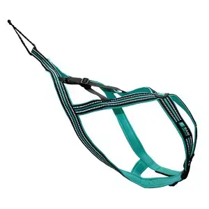 Cani Gear Hundsele Olympia Köp nu